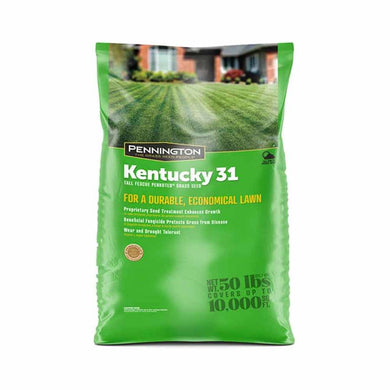 KY-31 Fescue CTD Seed 50# Bag