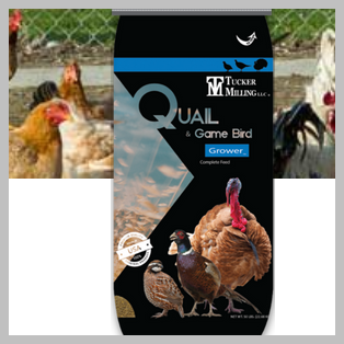 22% Quail and Gamebird Grower Crumble 50# bag