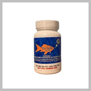 Fish Sulfa 960 MG 30 Count  Sulfamethoxazole  Trimethoprim Antiobiotics