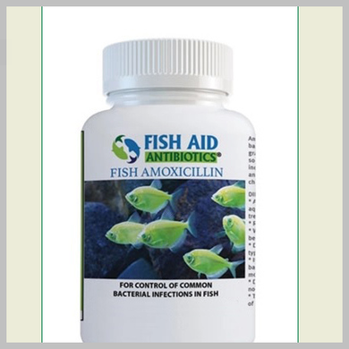 Amoxicillin 500 mg 30 Count Fish Mox DNR