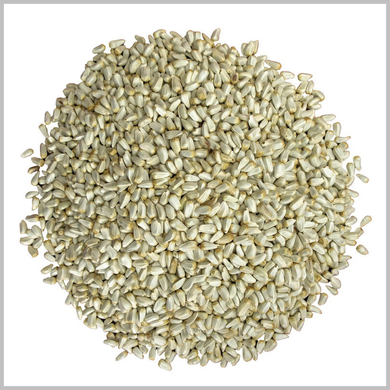 Safflower Seed Premium White 50 lb. Bag