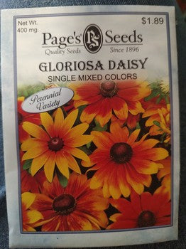 GLORIOSA DAISY-Single Mixed