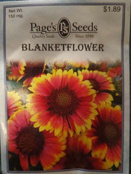 BLANKETFLOWER