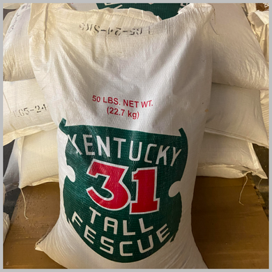 KY 31 Tall Fescue 100% seed 50# Bag