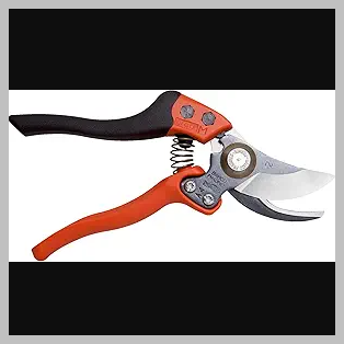 Pruner Fixed Handled Ergonomic