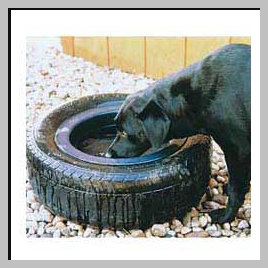 Feeder Tire 16 quart