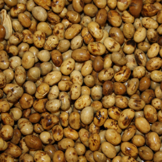 Roasted Soybean 50# Bag