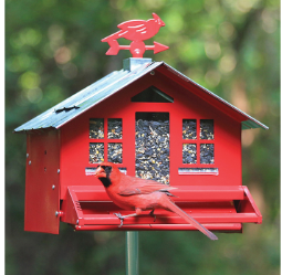 Squirrel-Be-Gone Perky Pet 338 Wild Bird Feeder Red