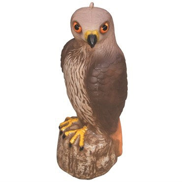 Hawk Decoy Large