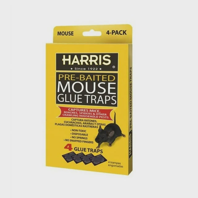 Glue Trap Lure 4 Harris Mouse