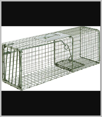 Heavy Duty Cage M Trap 1109