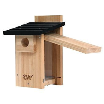 Bluebird House w Viewing Window