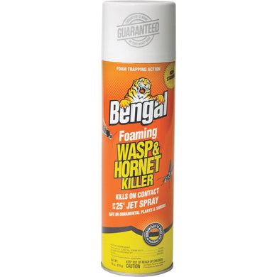 Foaming Wasp & Hornet Spray 18 oz.