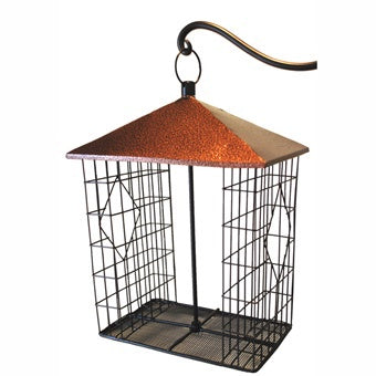 Suet Bird Feeder Fly Thru