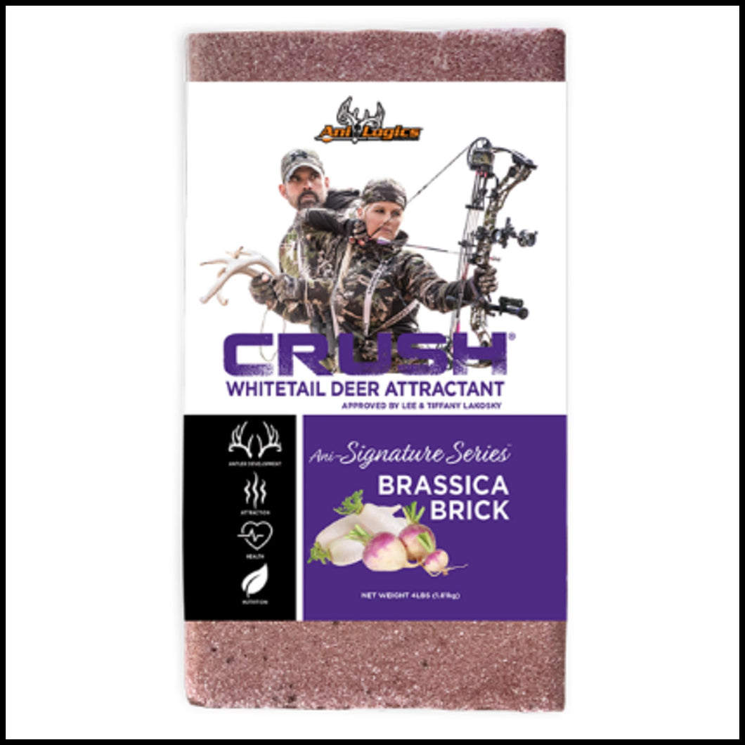 CRUSH Brassica 4 lb Brick