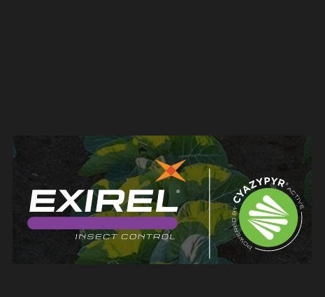 Exirel Insect Control 1 Gallon