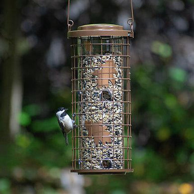 Bird Feeder Squirrel Stumper