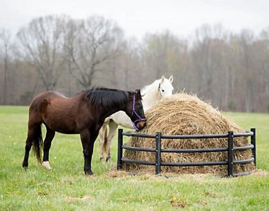 Century Horse Poly Bale Feeder