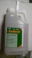 Endura Fungicide 6.5#