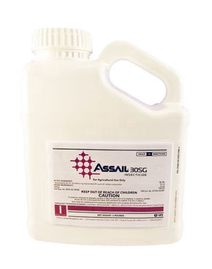 ArVida Assail Anarchy 30SG Insecticide 64 oz