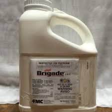 RUP Brigade 2EC Insect Miticide 1 Gallon