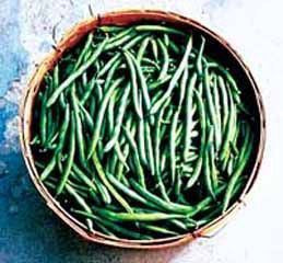 Sold by the Pound Blue Lake Bush Bean