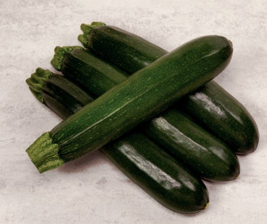 Envy Zucchini Squash (1M)