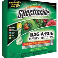 Japanese Beetle Trap