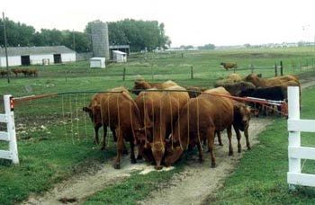 Drive Thru Gate Allowing Truck or Tractor to Push Thru