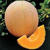 Hales Best Jumbo Cantaloupe Sold by the Ounce