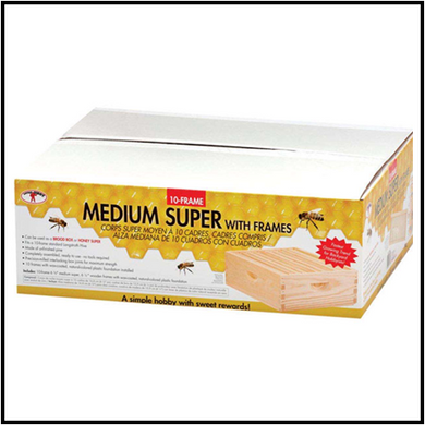 Bee Super Medium 10 Frame