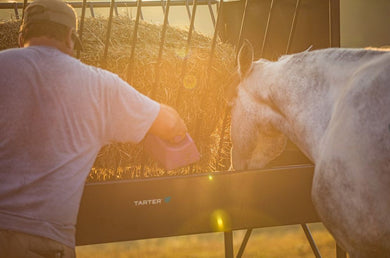 Equine Paddock Master Hay & Grain Feeder