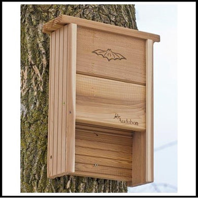 Bat House Shelter