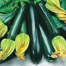 Sold by the Ounce Zucchini Squash Dark Green