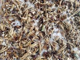 Sold By the Pound Native Grass Seed