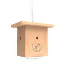 Carpenter Bee Trap