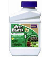 Weed Beater FE Moss & Weed Kill